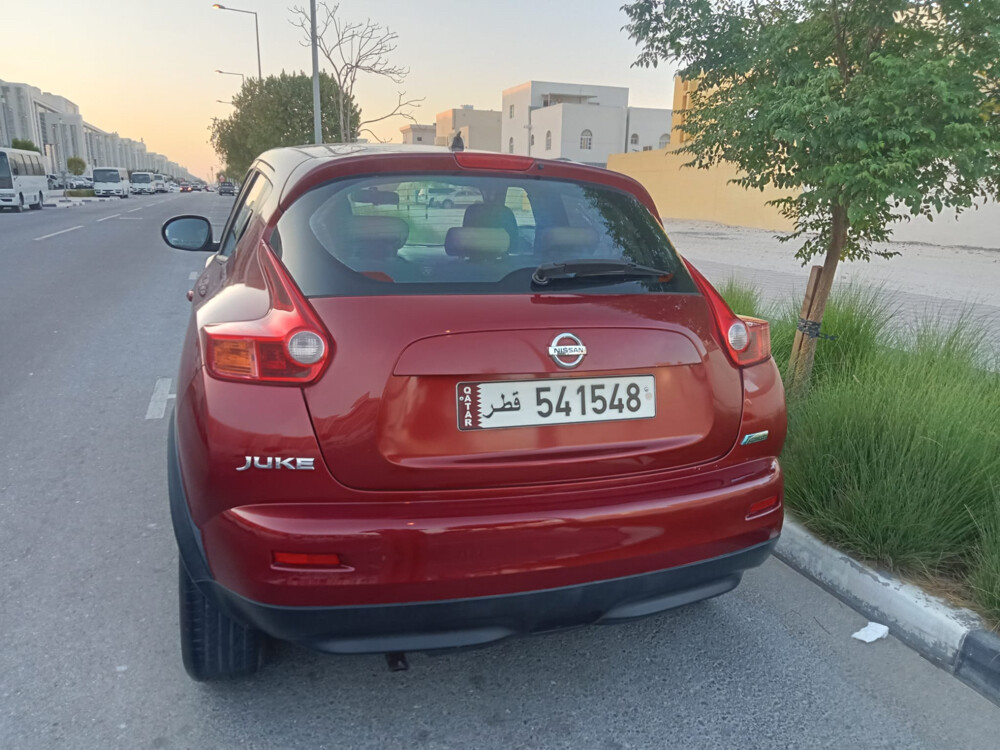 Nissan Juke 2013 - 8