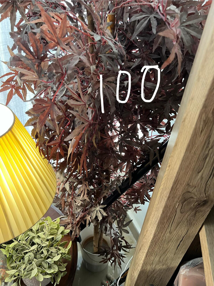 Wood Furniture urgent sale  - 5