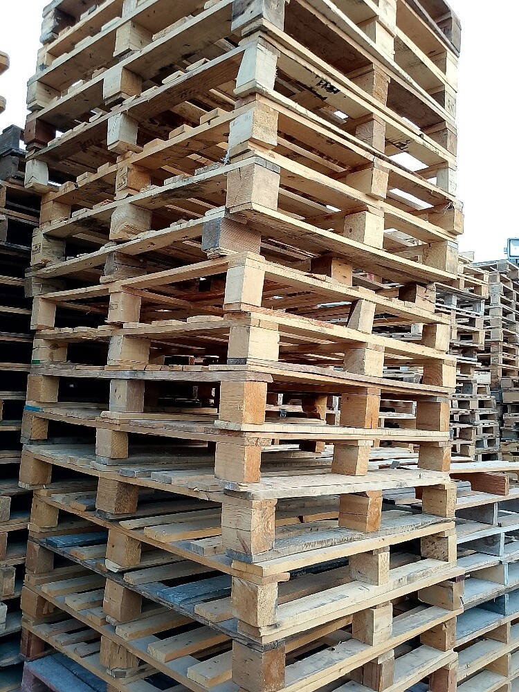 pailat - 5