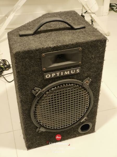 Optimus 10" Passive PA Speaker - 2