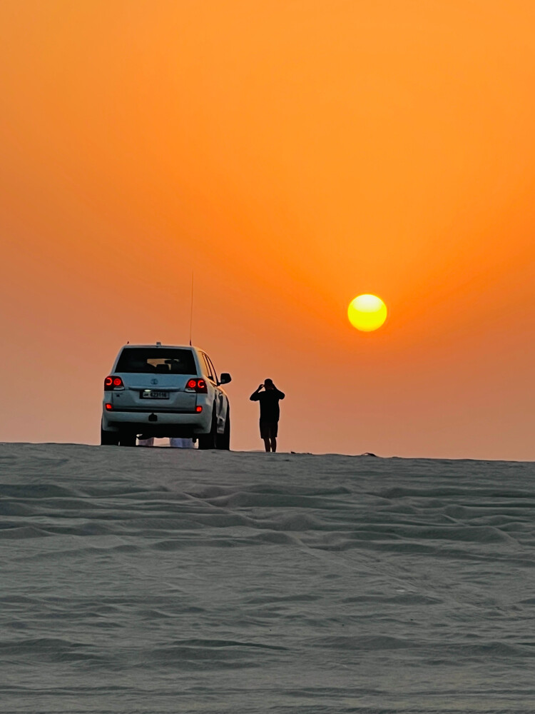 LandCruiser with Driver - 5