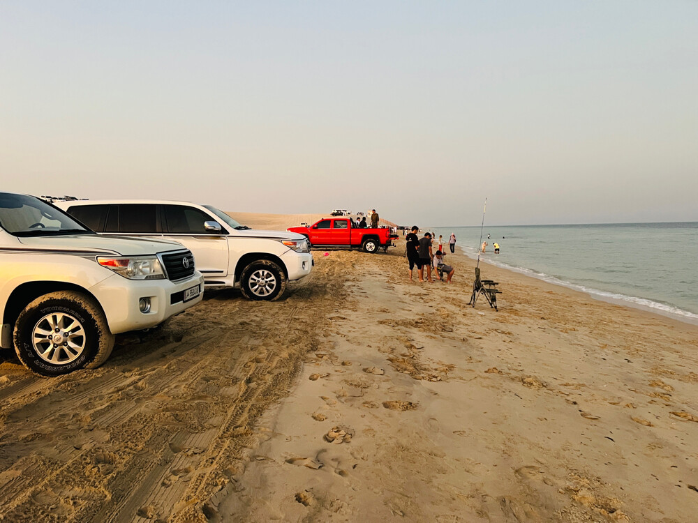 LandCruiser with Driver - 4