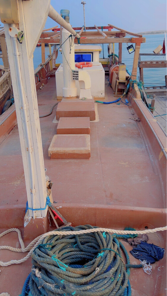 Boats and ship engines for sale - 15