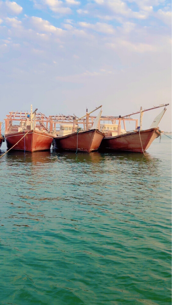 Boats and ship engines for sale - 19