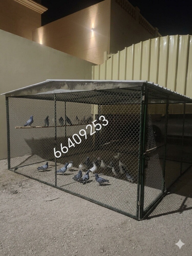 الحماما قفاص=٧*/53 - 3
