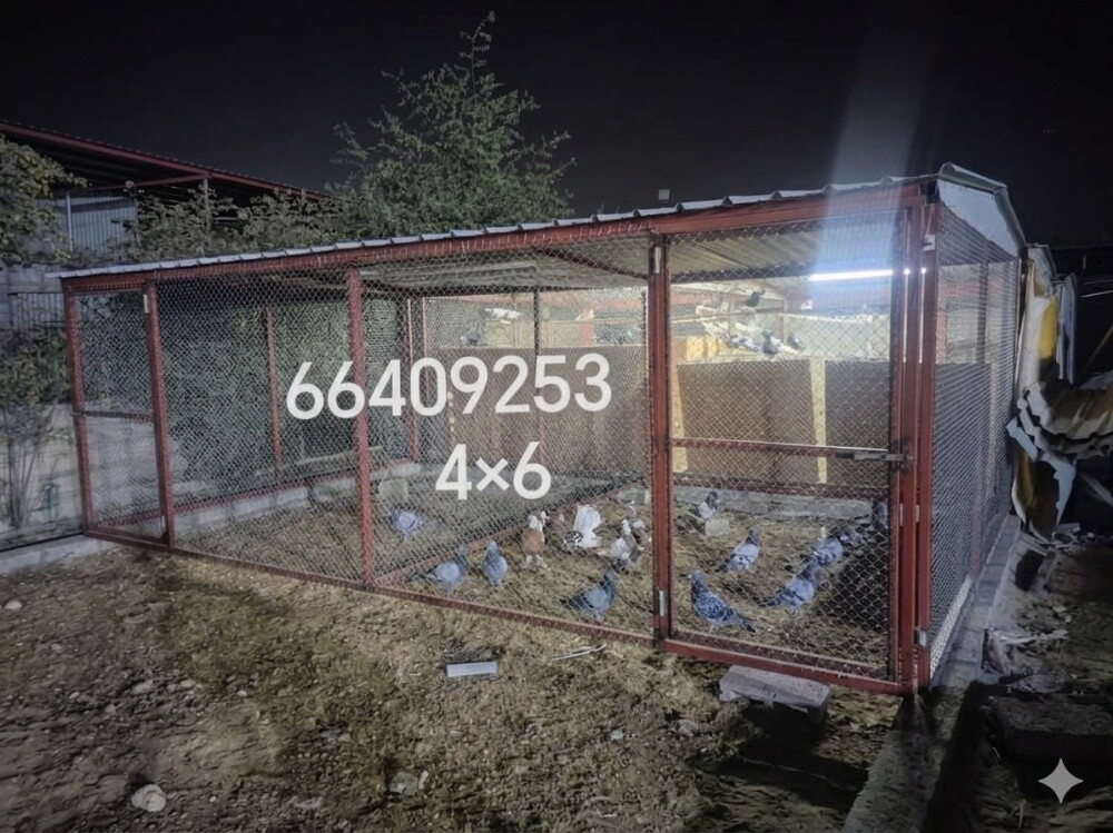 الحماما قفاص=٧*/53 - 4