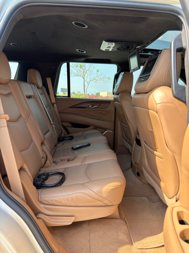 Cadillac Escalade Platinum 2017 - 16