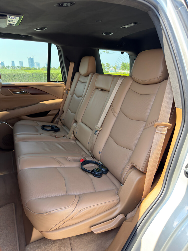 Cadillac Escalade Platinum 2017 - 10