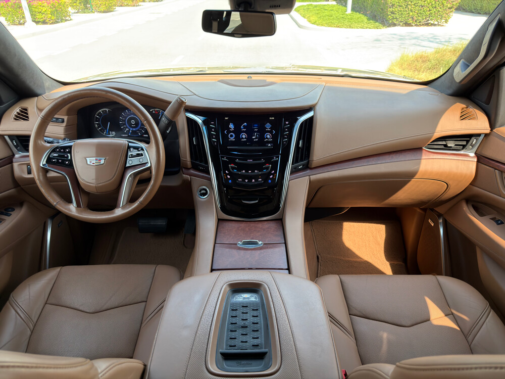 Cadillac Escalade Platinum 2017 - 17