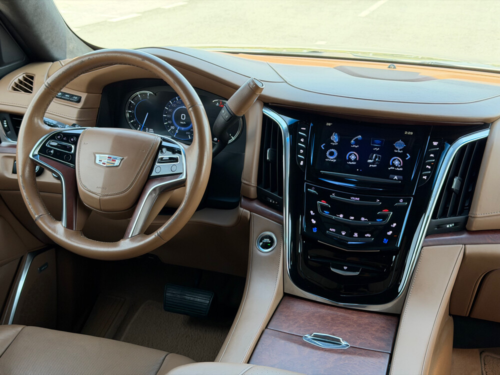 Cadillac Escalade Platinum 2017 - 15