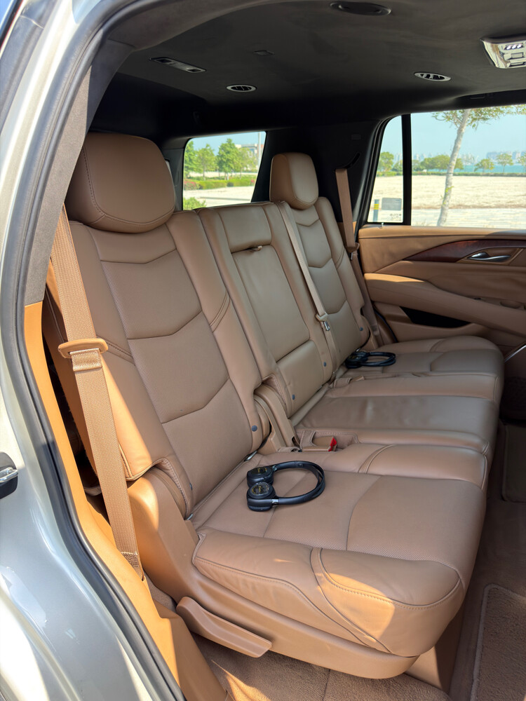 Cadillac Escalade Platinum 2017 - 13