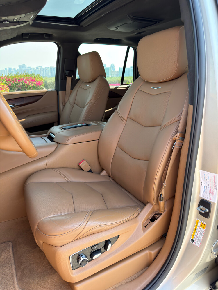 Cadillac Escalade Platinum 2017 - 14