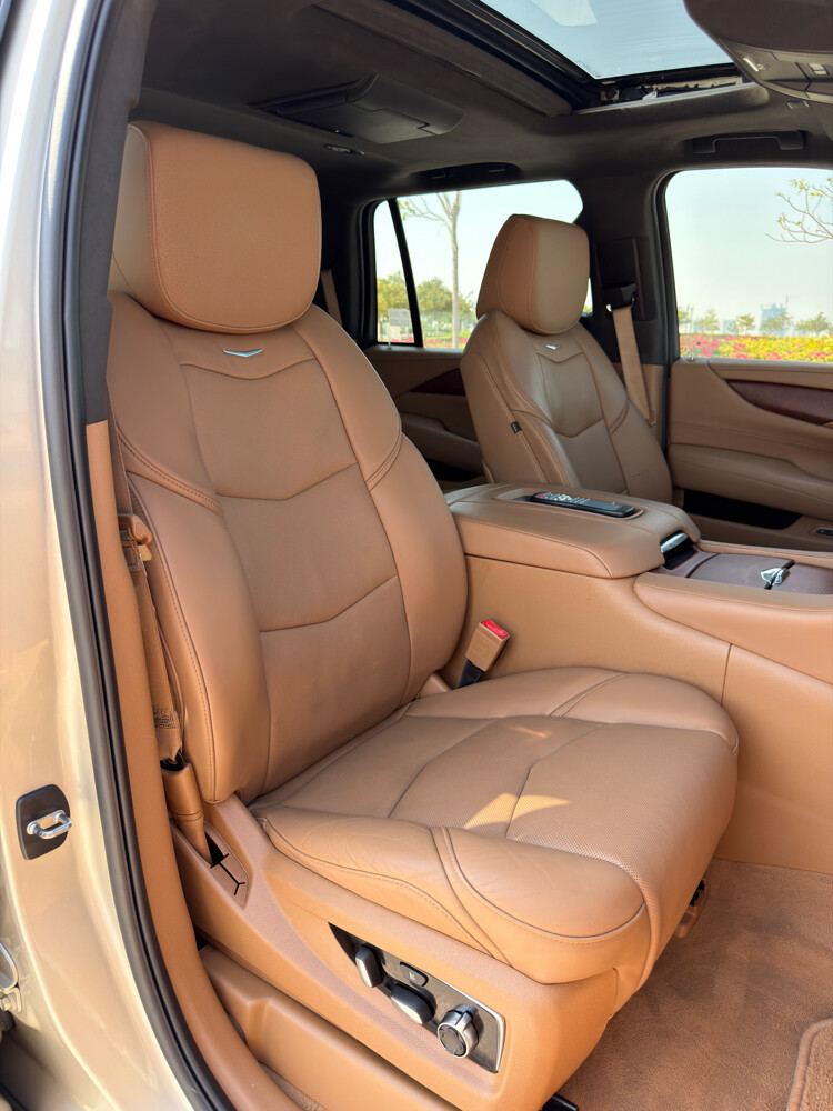 Cadillac Escalade Platinum 2017 - 12