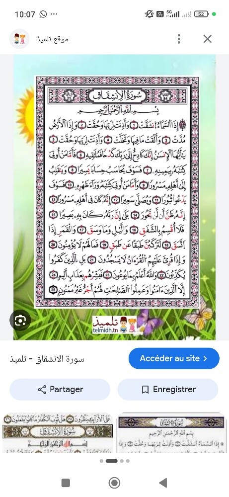 ام رتيل - 1