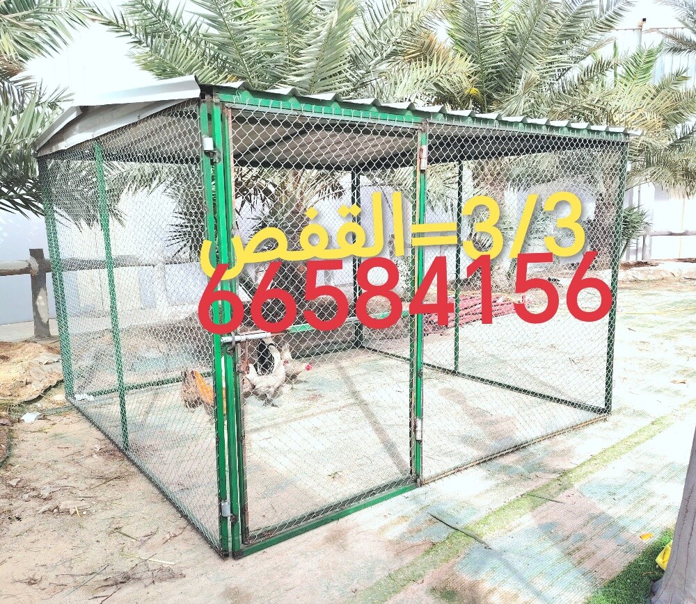 3/3=قفص - 1