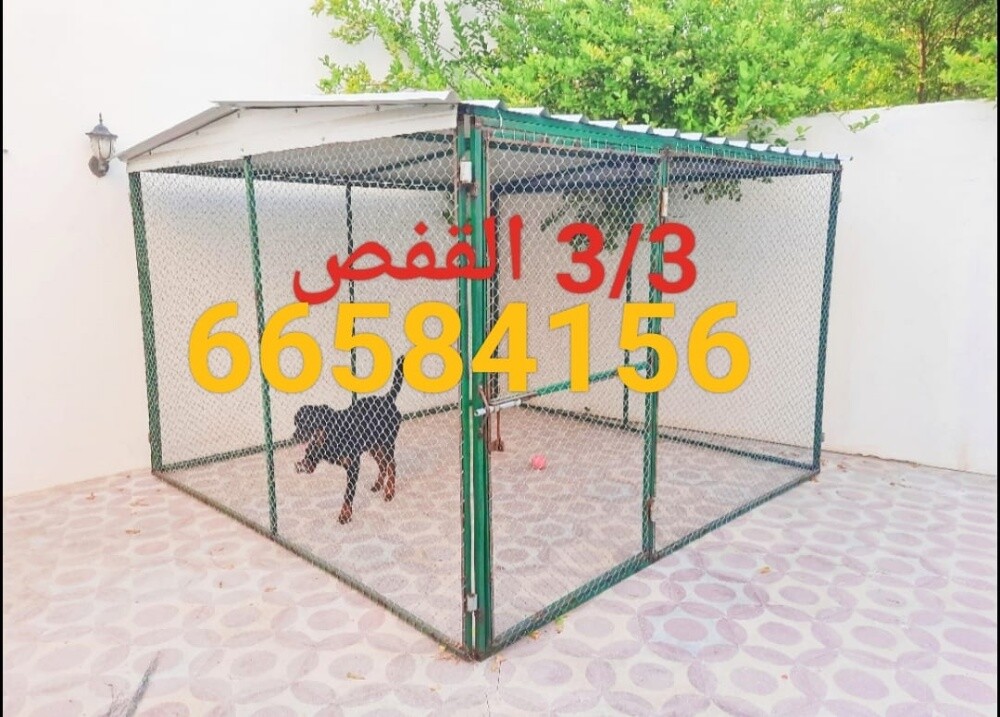 3/3=قفص - 2