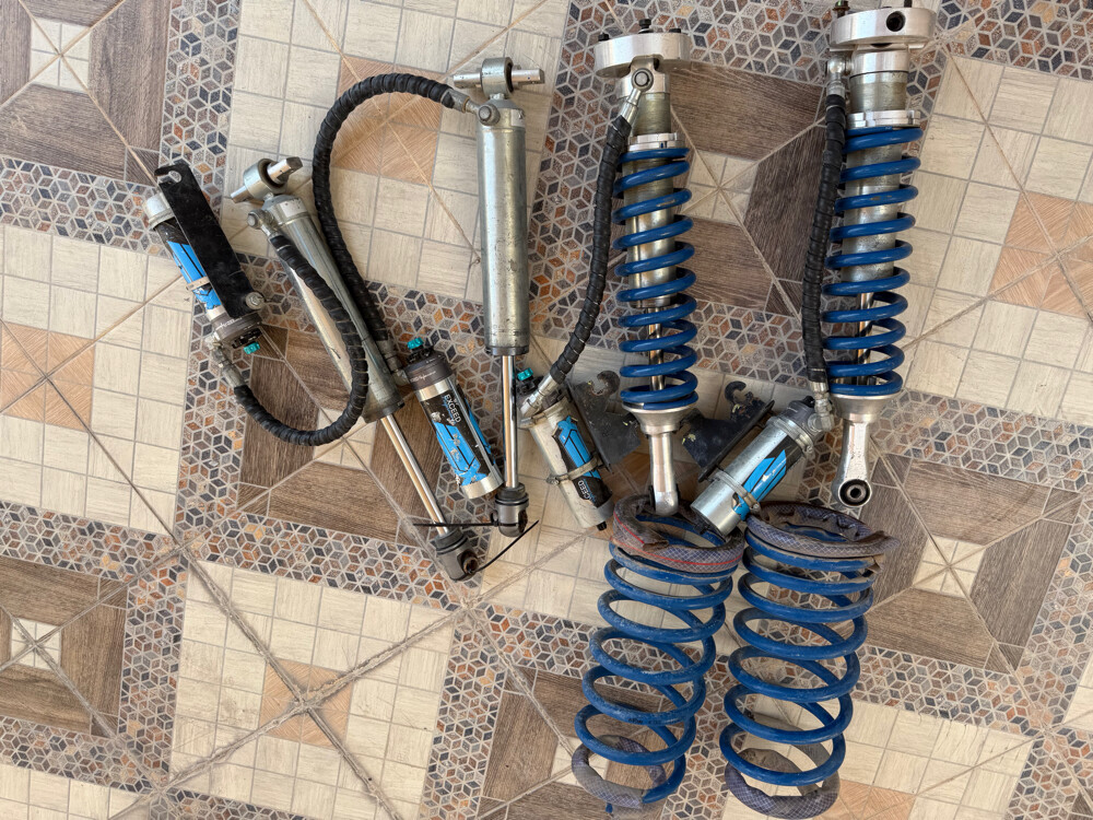 جنبينات إكسيد لتانك - 1