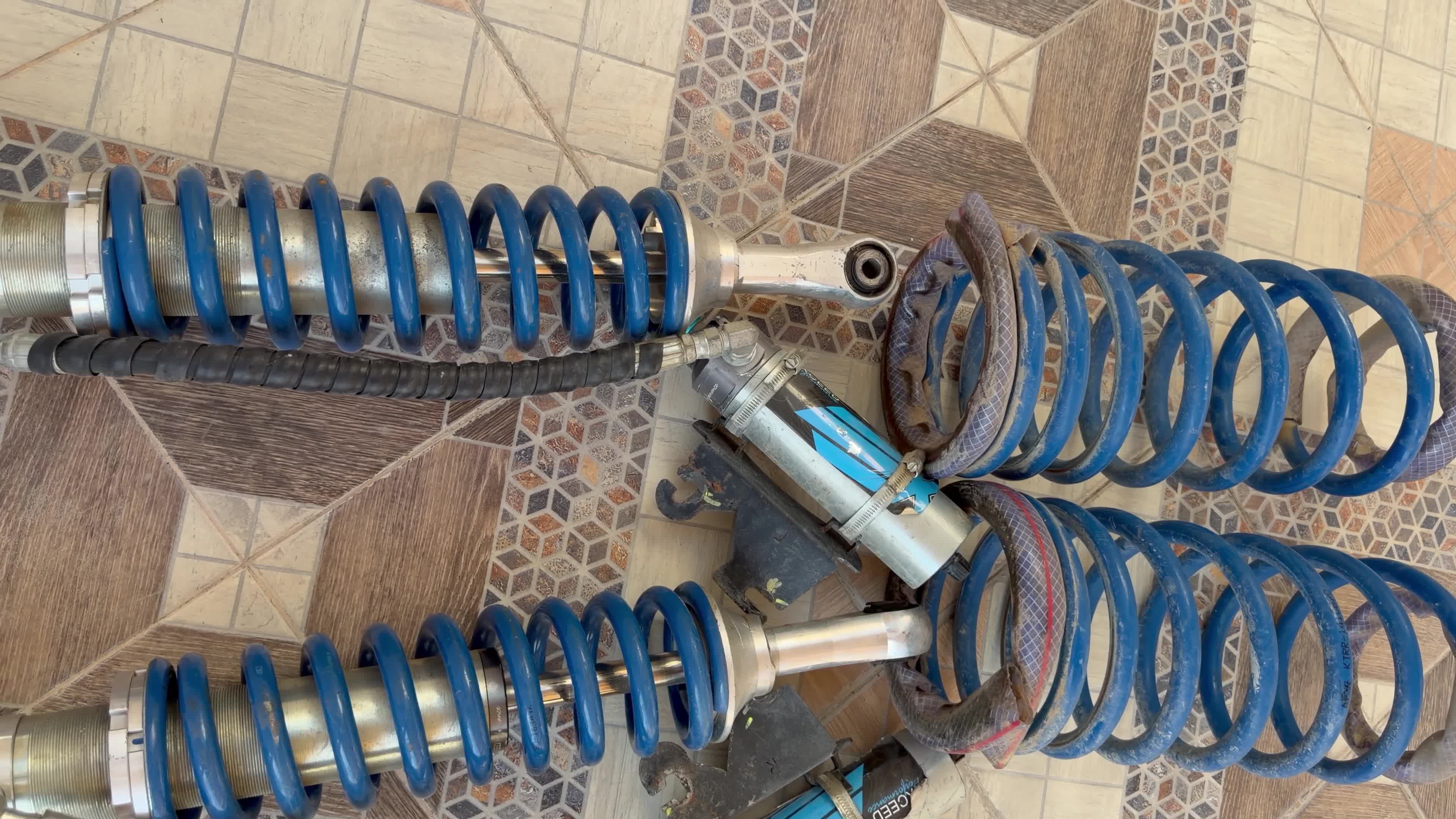 جنبينات إكسيد لتانك - 4