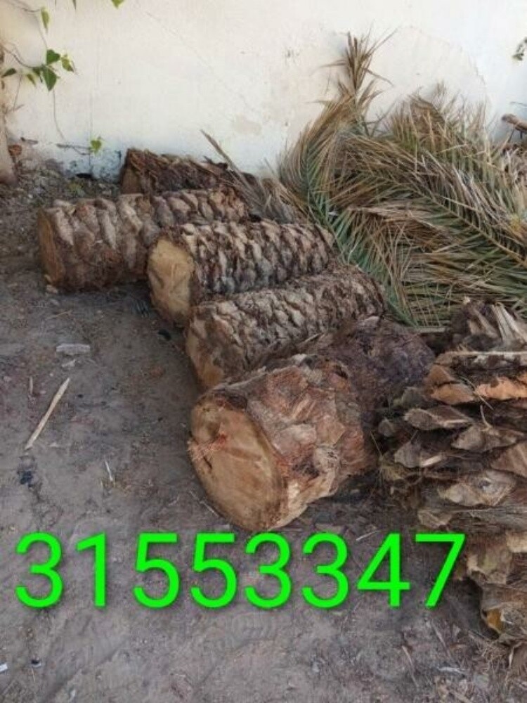قص وتقطيع الاشجار - 1