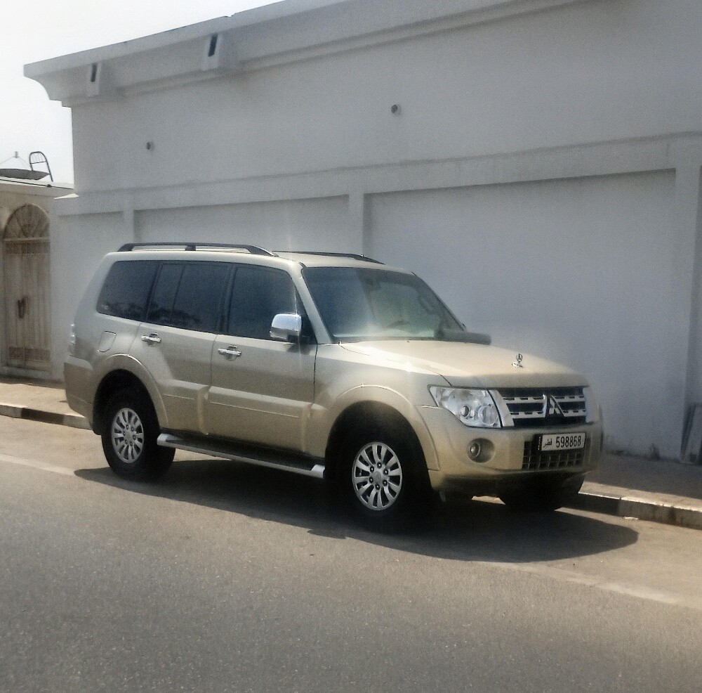 باجيرو 2014 - 1