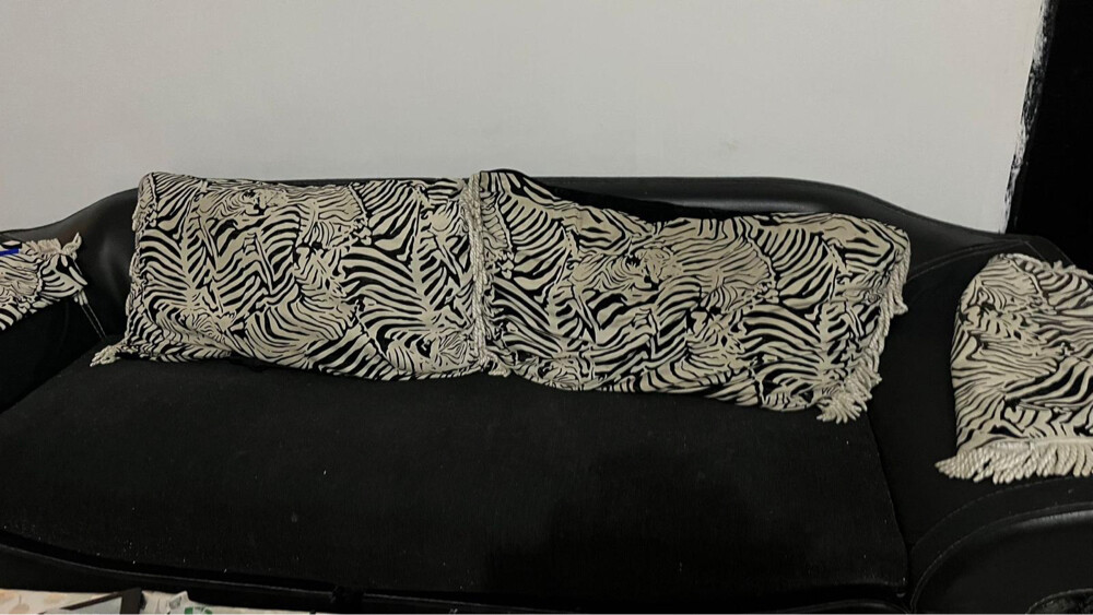 MOVING SALE SOFA SET - 2