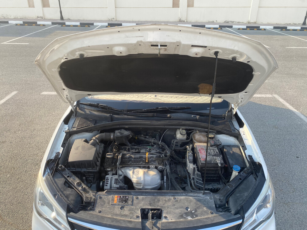 MG 5 2023 31036865 - 7