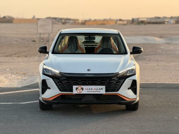 دونج فنج شاين ٢٠٢٦ - 2