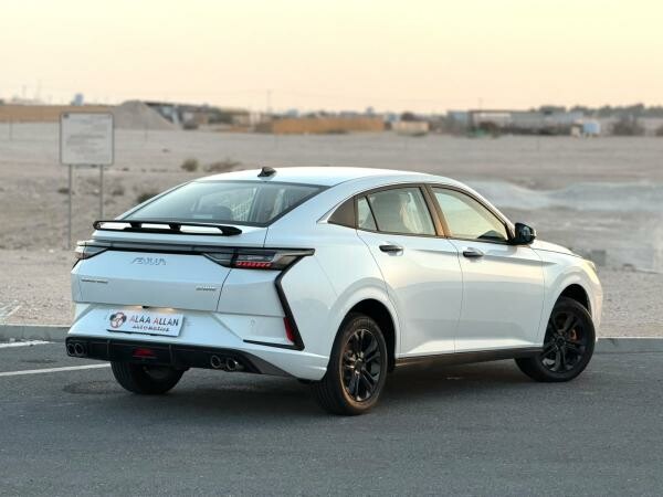دونج فنج شاين ٢٠٢٦ - 4