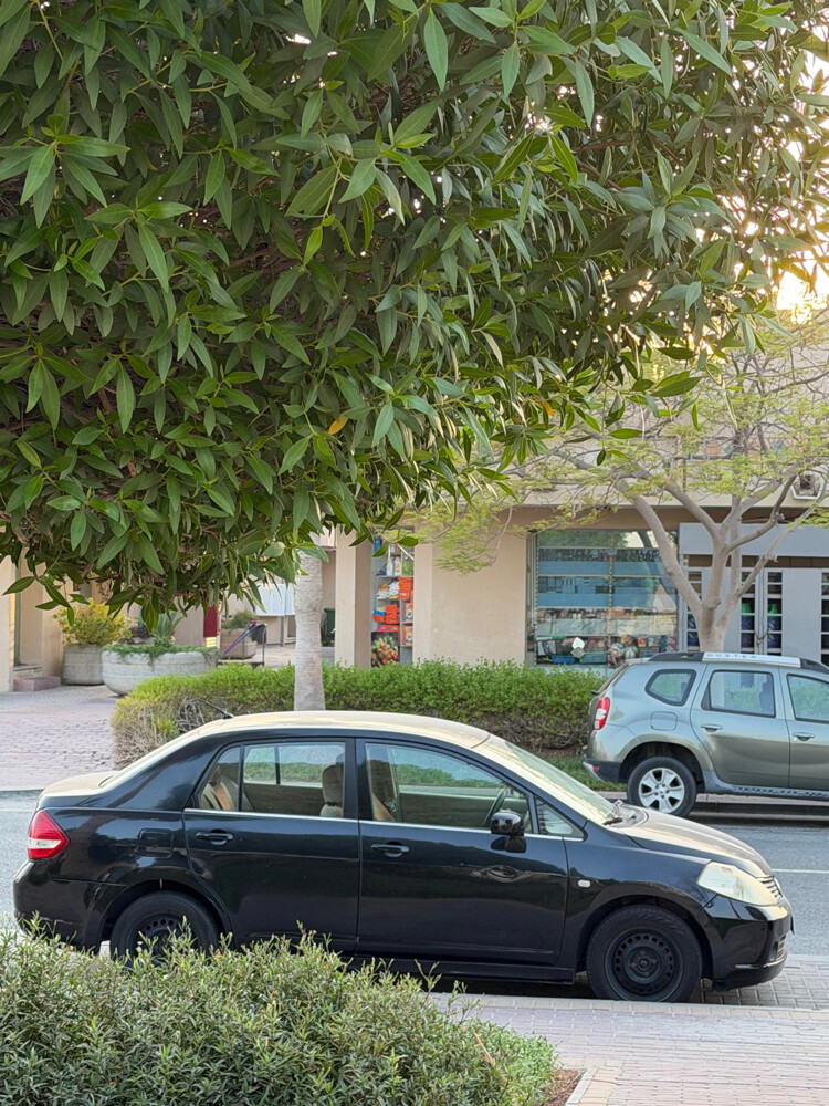للبيع - 1