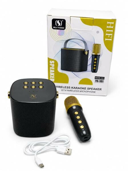 Compact Karaoke Speaker Set - 1