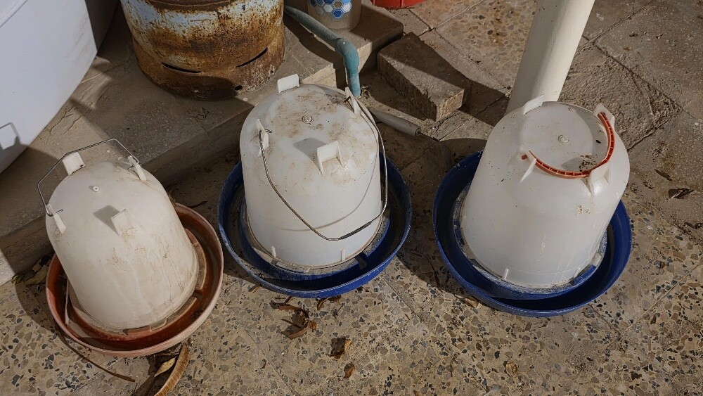 سقاية للطيور - 1