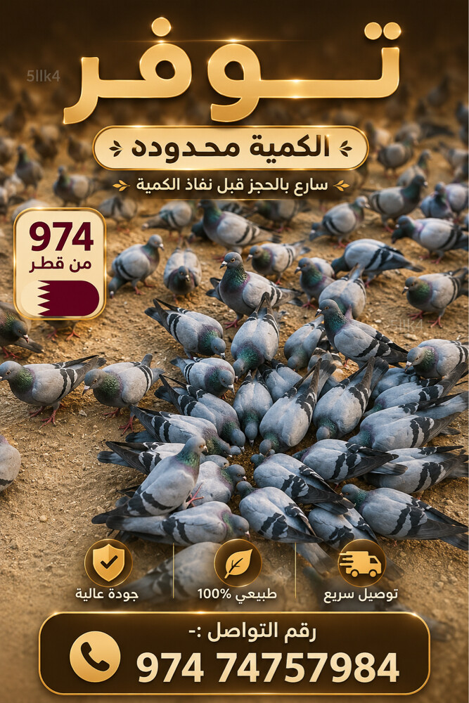 للبيع حمام للاكل  - 1