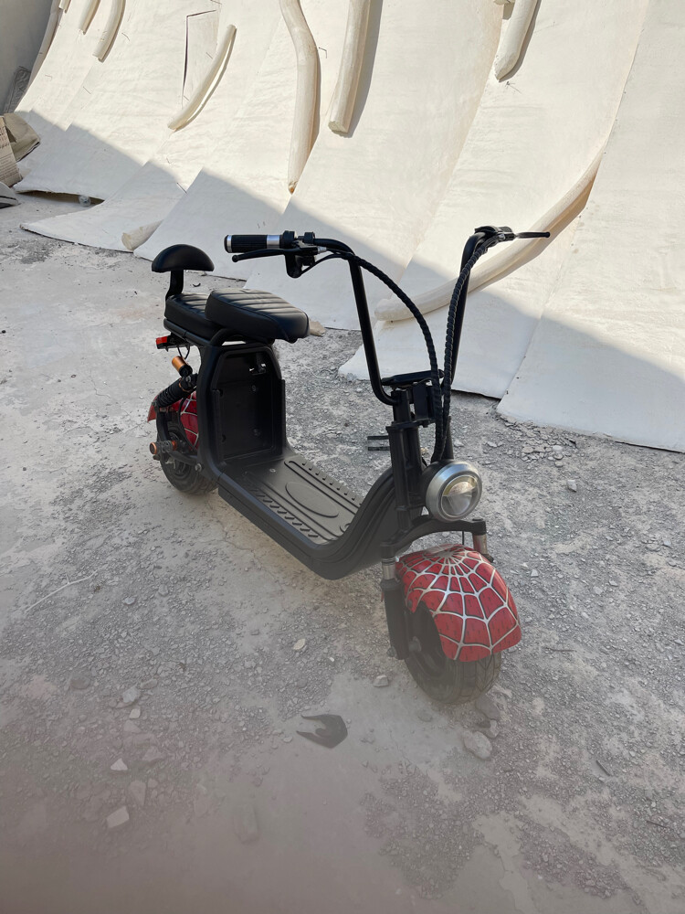 electric bike  - 1