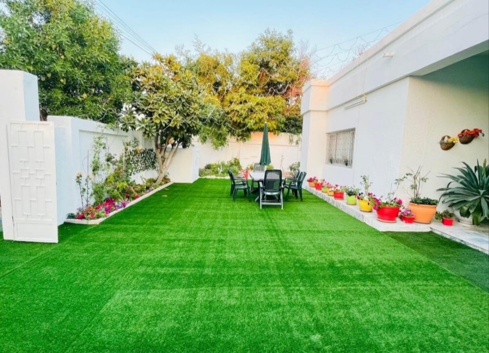 Artificial grass.Grass carpet - 1