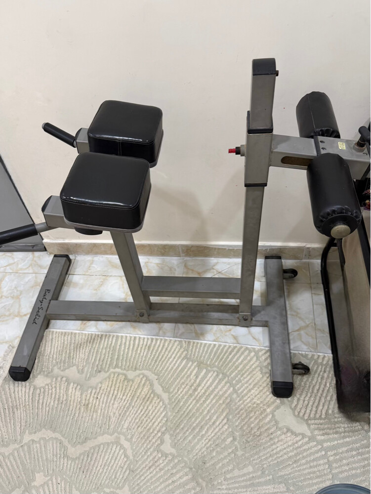 Lower Back Extension Machine - 1