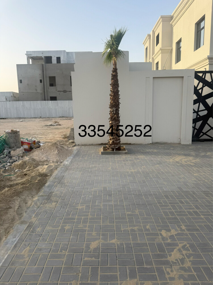 نخل وشنطونيا زينه - 14