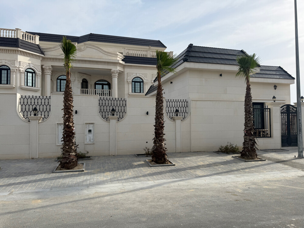 نخل وشنطونيا زينه - 23
