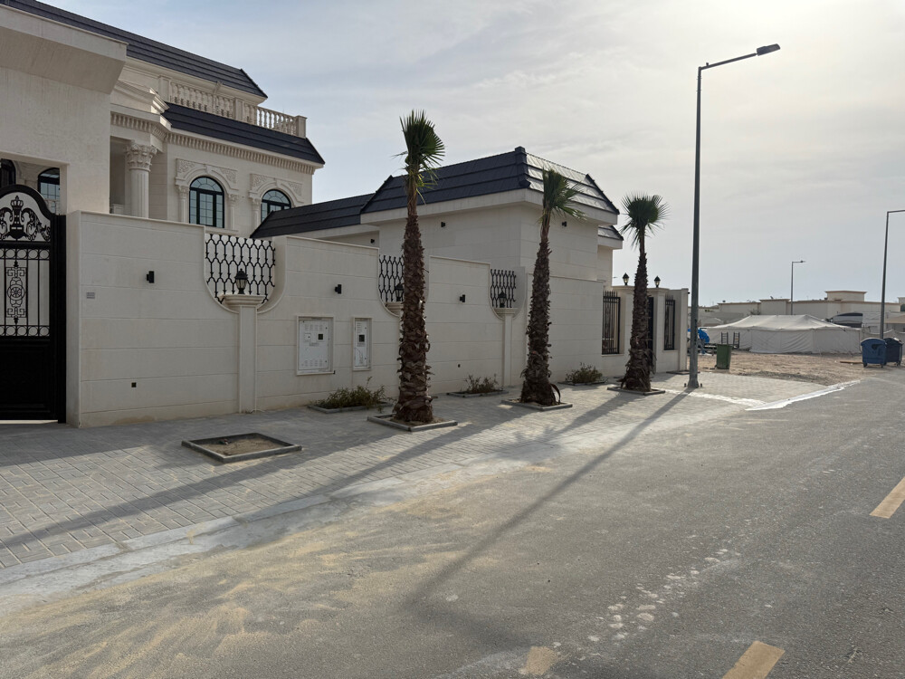 نخل وشنطونيا زينه - 22