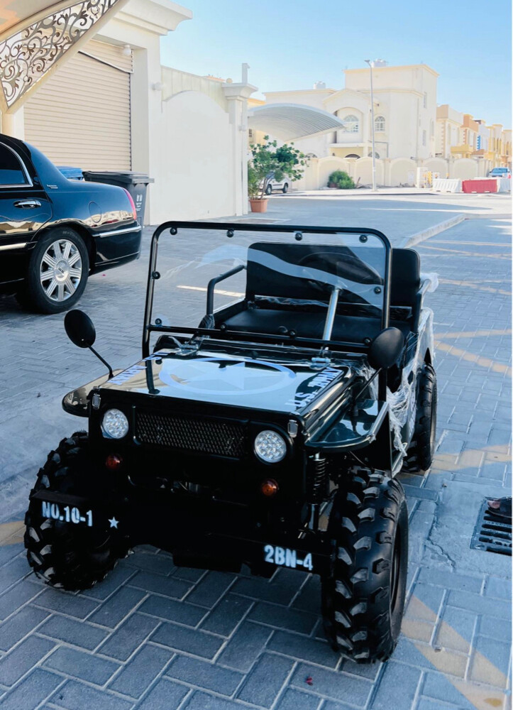 Mini jeep  - 5