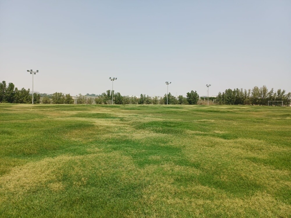Lighting poles for a football field - 2