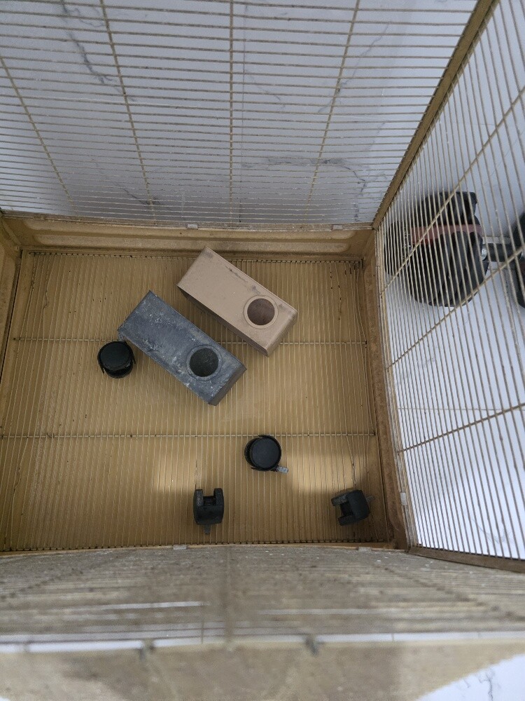 Cage + Accessories - 3
