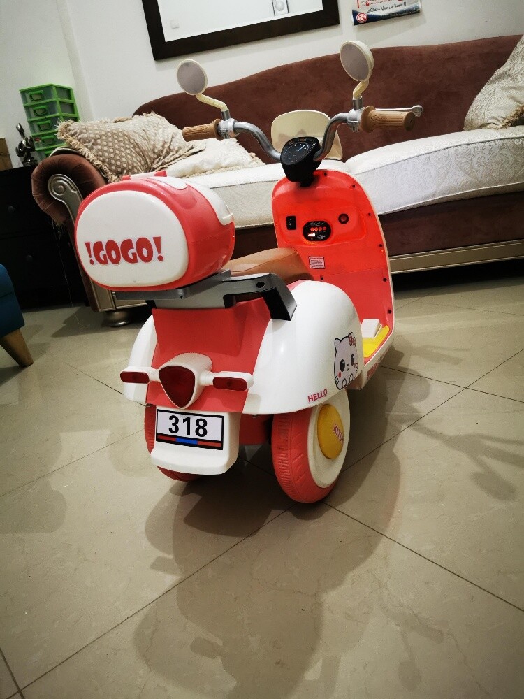Electric Bicycle - 2