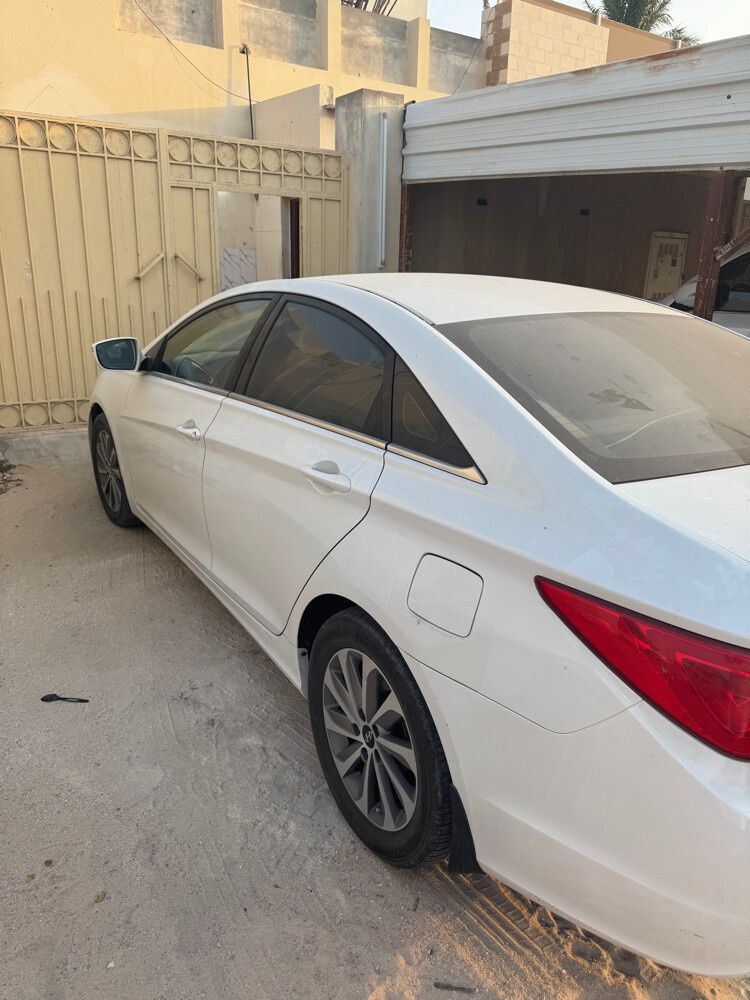 سوناتا صبغ وكاله  - 1