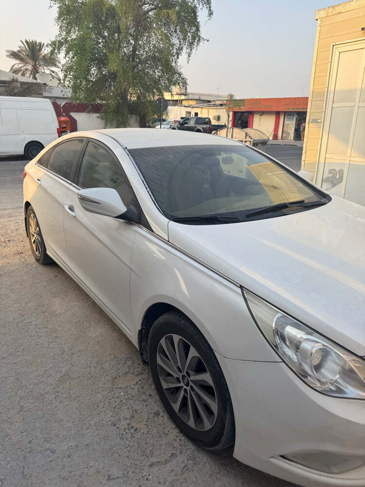 سوناتا صبغ وكاله  - 2