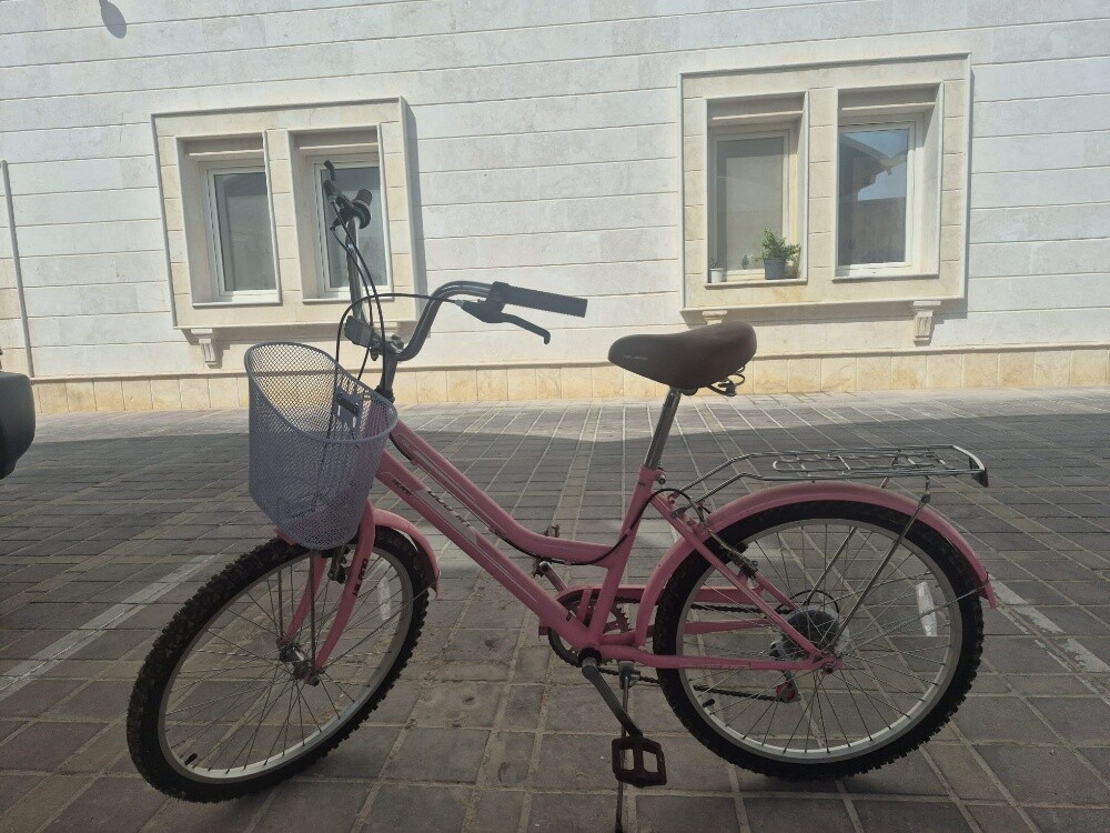 Pink bicycle - 1