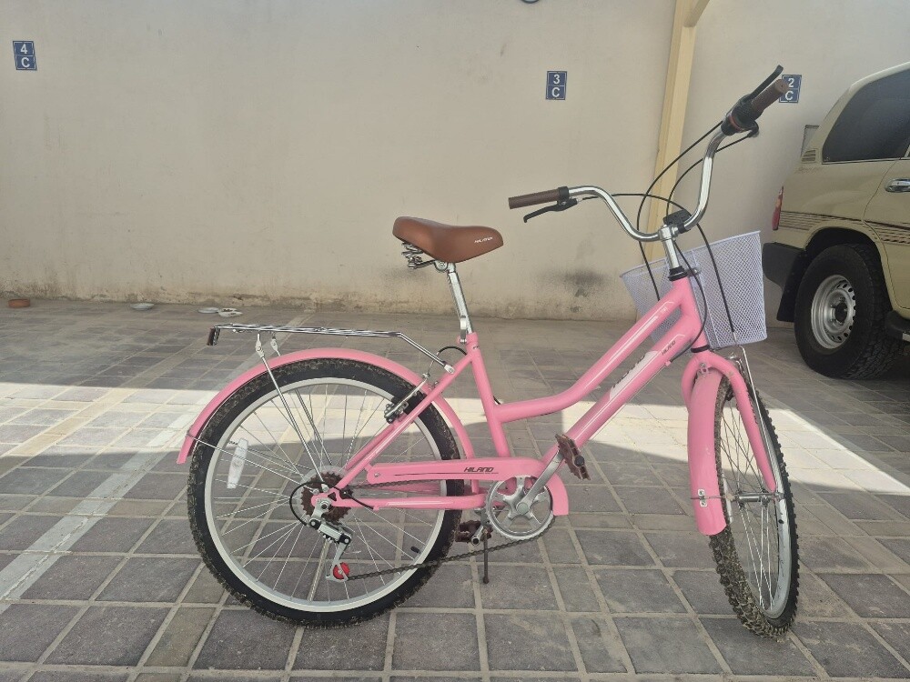 Pink bicycle - 2