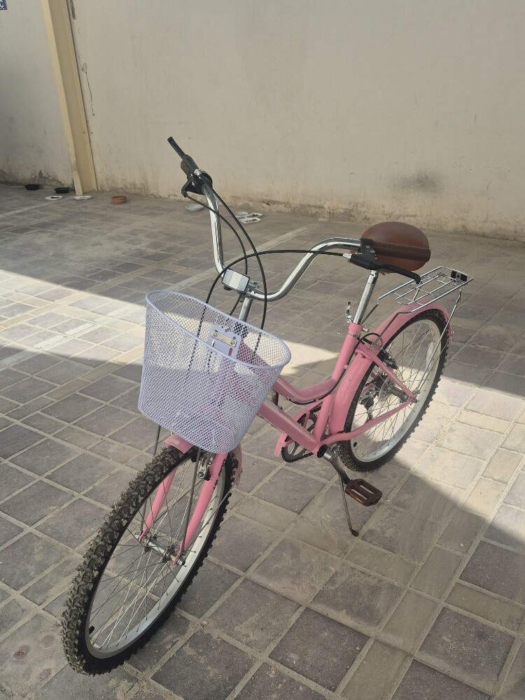 Pink bicycle - 3