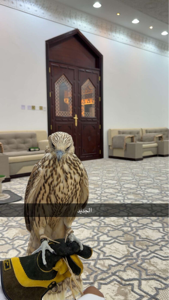 للبيع - 1