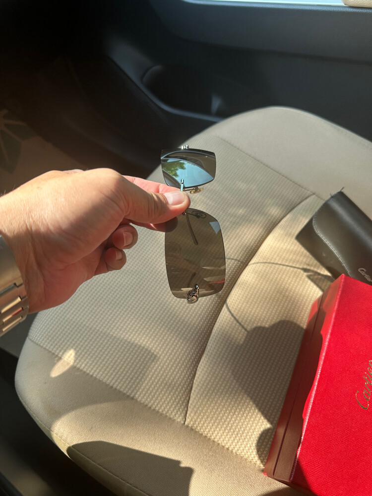 panthere de cartier sunglass - 4