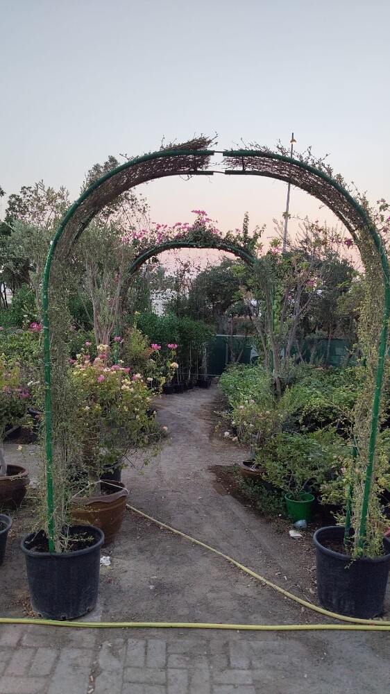 مدخل حديقه - 2